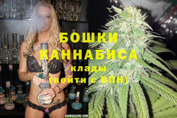 МДПВ Ельня